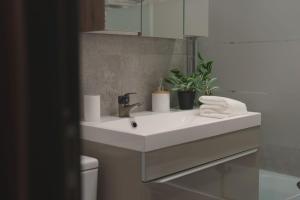 Luxury Apartament Ultracentral of Suceava Esplanada