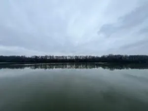 Ma Campagne - 图尔尼