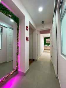 Casa Pandora Hostel Women Only