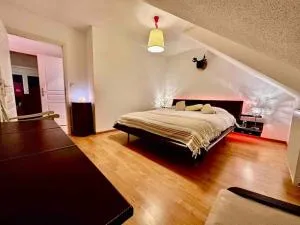 A2 pas de Colmar terrasse,parking - 万泽内姆