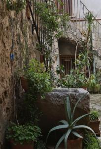 Terrazza del Cortile - by Vacation Service