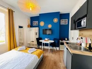 ORLEANS BORD DE LOIRE - Etablissement avec 3 studios - Le Quai Saint Laurent - BY PRIMO C0NCIERGERIE - Saint-Pryvé-Saint-Mesmin