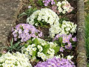 Maison de campagne 6 pers avec chemins de randonnée et station thermale à proximité - FR-1-589-631