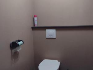 Gîte chaleureux avec jardin, BBQ, WIFI et équipements modernes en plein cœur de Verchain-Maugré - FR-1-510-210