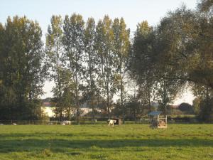 Gîte chaleureux avec jardin, BBQ, WIFI et équipements modernes en plein cœur de Verchain-Maugré - FR-1-510-210
