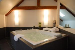 Hotels Domaine de Joinville : Suite avec Baignoire Spa