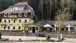 Gasthaus Hotel Löffelschmiede - Хинтерцартен