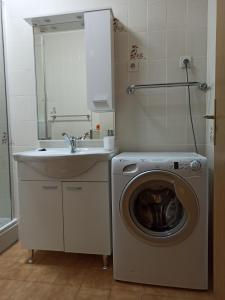 Apartments with parking space Okrug Gornji, Ciovo - 22795