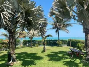 CASA JARDIM DAS PALMEIRAS - PÉ NA AREIA - Fruteiras