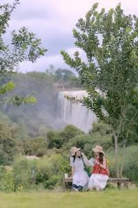 Tám Trình Coffee Farm - Hoat