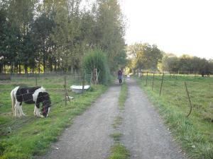 Gîte confortable avec jardin, WIFI et équipements modernes en plein cœur dun village paisible. - FR-1-510-211