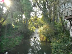 Gîte confortable avec jardin, WIFI et équipements modernes en plein cœur dun village paisible. - FR-1-510-211