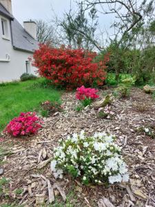 Maisons de vacances Demeure de Kerevel : photos des chambres