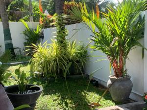Leena Holiday Home