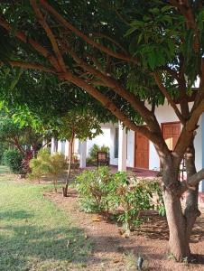 JEYs Place