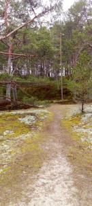 Atpūtasvietapiejūras Kotedža Piekrastē