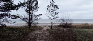 Atpūtasvietapiejūras Kotedža Piekrastē