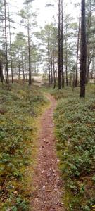 Atpūtasvietapiejūras Kotedža Piekrastē