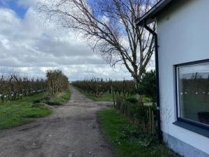 House on estate near Amsterdam and Keukenhof