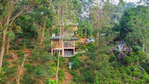 Tea Cottage Resort & Spa