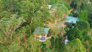 Tea Cottage Resort & Spa