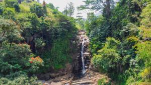 Tea Cottage Resort & Spa