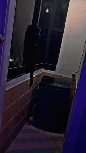 الاسكندريه العجمي/اكتوبر شاطئ النخيل - El-Shaikh Mabrouk