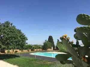 House Calafato e Testasecca - 圣卡塔尔多