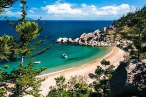 The Treehouse at Alma Bay