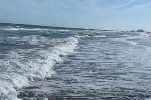 Shipwatch Pointe I ~ 2B2B condo ~ Shore Drive