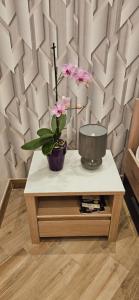 Appartements Very nice cosy new appart : photos des chambres