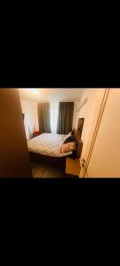 apartament 16