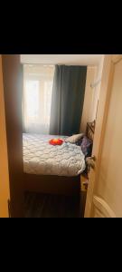 apartament 16