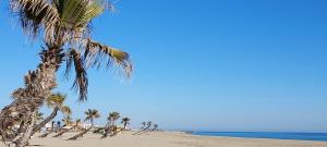 Appartements Le Barcares studio climatise 2 a 3 personnes, plage a pied : photos des chambres