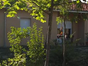 乐卢之高之都派斯考菲公寓式酒店 - Pins-Justaret