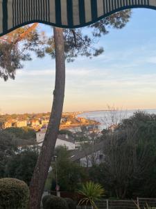 Appartements VUE MER et SOLEIL LEVANT AU BELVEDERE : Appartement 1 Chambre