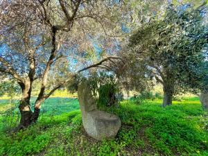 Seaside Vacation img36