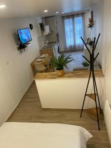 Appartements Residence Chene : Studio Double Deluxe