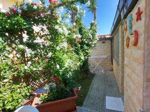 Casa fiorita