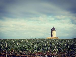 Gîte bucolique de Haut Martet