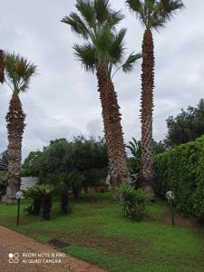 Oasi del Relax