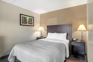 King Suite with Sofa Bed - Non Smoking room in Quality Inn Simpsonville-Greenville