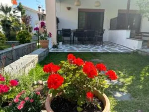 Alara’s house - 斯卡拉福卡斯