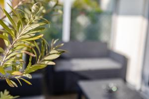 Chambre dAmis - Chambres dHôtes-B&B-Guest House