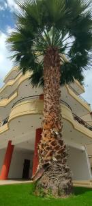 Garden Luxury Apartment