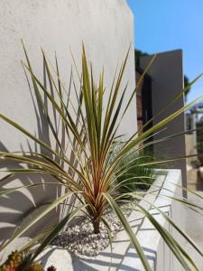 Abelaki Holiday Home