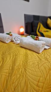 Underground Cave Apartment