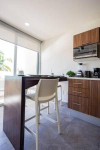 Suite de lujo 1 Hab. Depto 203