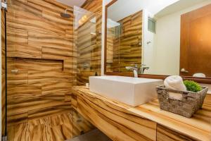 Suite de lujo 1 Hab. Depto 203