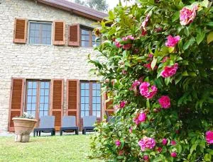 Villa Camelia Tuscany - Uzzano